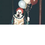 Scare Zone