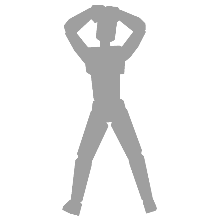 Shake It Out