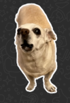 FryDaDog Studios