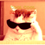 Cool cool kitty cats