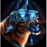 Rejoin le group si t’aime les lion