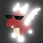 Pro Cinder's group