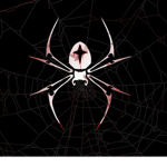 Spider's United