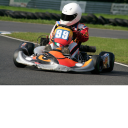 Duckie GoKart Racing
