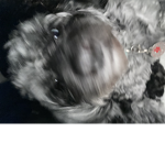 Material_Georgia