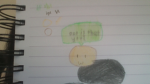 Marias AMAZING capybaras