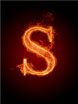 The Society Group