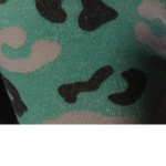 Leopard ######