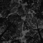 Drxpped Giveaways