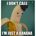 The banana squad :)