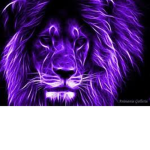 Purple Swat Ninjaz