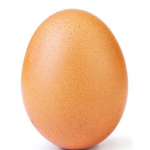 TheEpicEggs