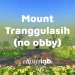 [Tanpa Obby] Mount Tranggulasih icon