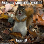 Squirrel Gang Gang