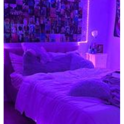 vibe house.