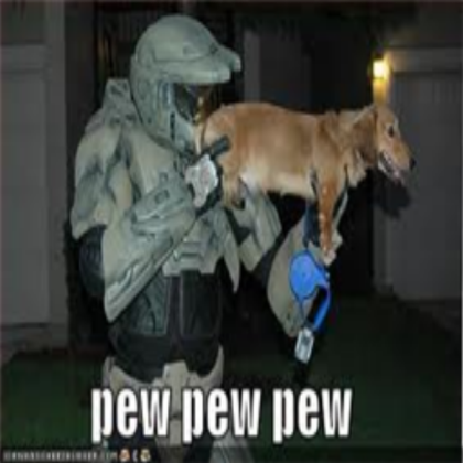 The dog gun! Roblox decal