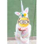 minionfany