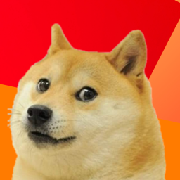 Doges display (CHAPTER 1)