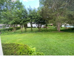 llama and bee group :D