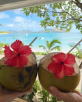 Hawaii chalet club