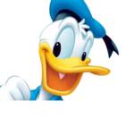 Ducks in the waterr