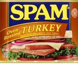 SPAM SPAWN icon