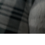 Meme Infection
