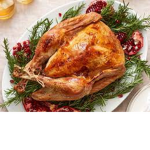 greeneyedturkey fan group