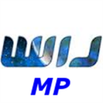 WIJ Military Police