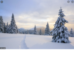 xXWinterXx