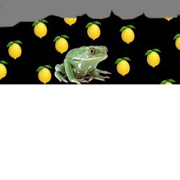 FROG.CO HANGOUT