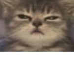 lexiiiiiiiiiiiiiiiiiiiiiiiiiii
