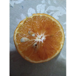 El_sotano_de_danys