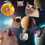 Join this group if you like cats/kitten