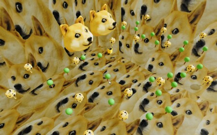 Doge Hangout