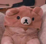 - KITTENS -