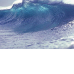Cool clothing tsunami store