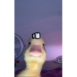 DArkBArkRArk