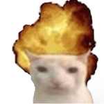 _Camp roblox_