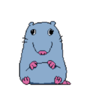 The Wise Rodents
