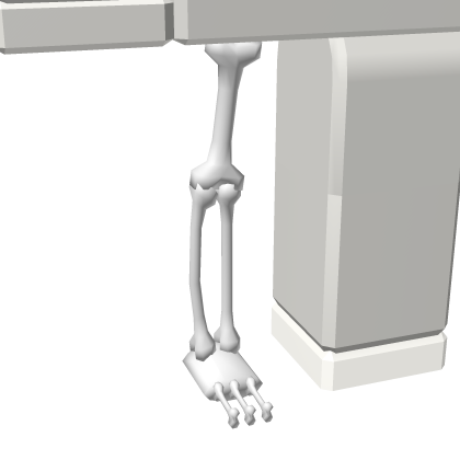 Asset 14547055546
