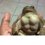 buff_frog