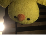 Pro ducky