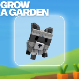 [🦝] OBBY FOR FREE RACCOON!