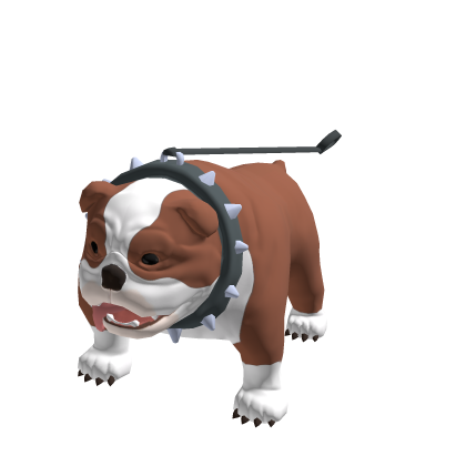 Butcher the English Bulldog
