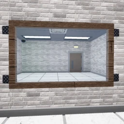 just a mirror icon