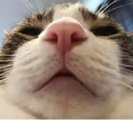 HeidiHi34