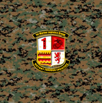 1st Marine Logistics Group | USAF