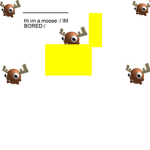 Moose In The Box