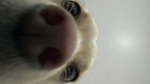 Memermercy